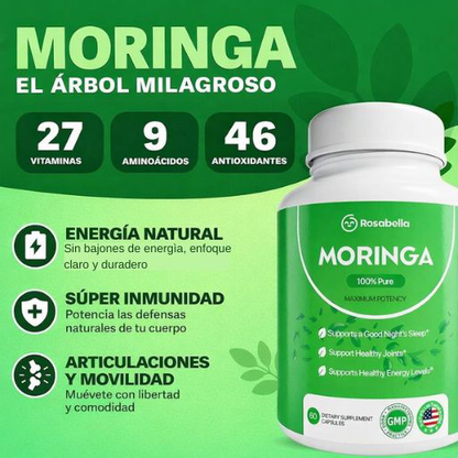 MORINGA 100% Pura - Energía Natural y Bienestar Diario ⚡