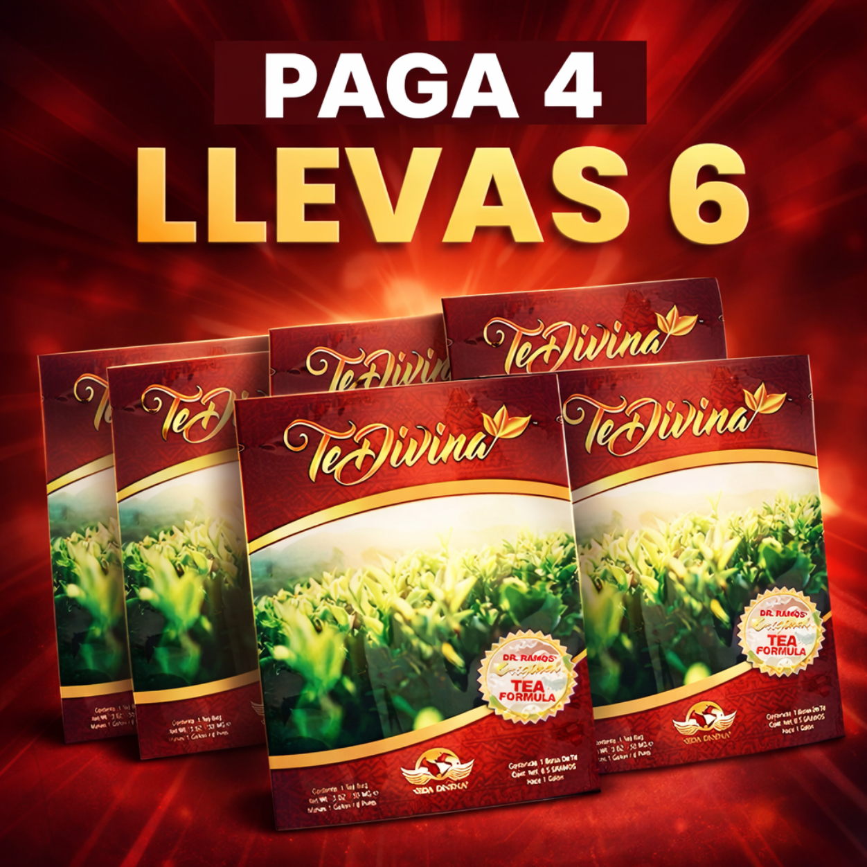 TÉ DIVINA 100% NATURAL  Bienestar para tu día a día 🌾